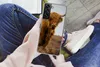 MuchoWow® Handyhülle Schutzhülle Hülle für Samsung Galaxy Produktbild-Vorschau 3