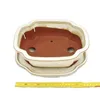 Ciotola bonsai con piattino Gr. 4 - beige chiaro - lungo / Anteprima dell’immagine prodotto 2