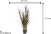 künstliches Gras 115cm UV-beständig burgund dunkelgrün Produktbild-Vorschau 5