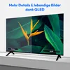 A split screen comparison of a TV display showing a flower and leaves, highlighting the difference between standard and QLED picture quality. Produktbild-Vorschau