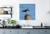 MuchoWow® Poster Vogel - Tiere - Pfahl - Blau - Kiebitz Produktbild-Vorschau 3