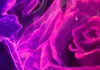 Akustikbild Totenkopf Blumen 200x100 cm 5-teilige Bilder Produktbild-Vorschau 3