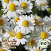 Samenliebe  Kamille Samen | Echte Kamille - zweijährige Produktbild-Vorschau 4