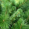 A close-up view of artificial pine branches, likely for a Christmas tree. Produktbild-Vorschau