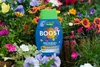 Westland Boost Flüssigdünger 1 l Produktbild-Vorschau 4