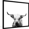 MuchoWow® Gerahmtes Poster Schottischer Highlander - Horn - Produktbild-Vorschau 1