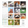 A collage of various cat photos, some with calendar grids and text, suggesting a cat-themed calendar. Produktbild-Vorschau