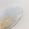 Federgras Getrocknete - (Stipa pennata) - Gebleicht Produktbild-Vorschau 2