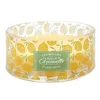 Citronella Duftkerze gegen Mücken – Ø 19 cm – Outdoor-Kerze Produktbild-Vorschau 1