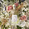 GUERLAIN AQUA ALLEGORIA Nerolia Vetiver EDT 75ml Anteprima dell’immagine prodotto 10