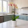 Leni FLORI orchid Orchideentöpfe 4er Komplett-Set Ø 13 cm H Produktbild-Vorschau 4