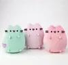 Pusheen Lilla pastello 18cm 61559 P-247 15595 Anteprima dell’immagine prodotto 6