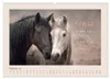 Pferdepoesie - Augenblicke voller Seele (Wandkalender 2027 Produktbild-Vorschau 5