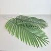 Deko-dadelpalmblad, 84 cm – Natuurgetrouw en flexibel Productafbeelding-voorbeeld 8