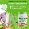 Herboxa SUPER GREENS - Poudre détoxifiante « Les alliés Voir les images du produit 10