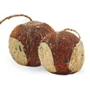 2 x 4 Stk. Lyra Pet® Gefüllte Kokosnuss mit Löchern Produktbild-Vorschau 1