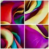 Bild auf Leinwand - Leinwandbild - Einteilig - Blume Farbe Produktbild-Vorschau 8
