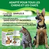 Artipet, complément alimentaire pour les articulations des Voir les images du produit 3