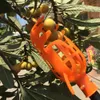 Cueilleur de fruits en plastique Tête de cueilleur de Voir les images du produit 2