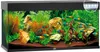 Juwel Rio 240 LED schwarz - Aquarium Juwel Produktbild-Vorschau 11