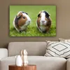 MuchoWow® - Leinwandbilder - Zwei Meerschweinchen, Produktbild-Vorschau 5
