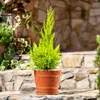 KADAX Blumentopf mit Untersetzer "Pula", Blumenkübel aus Produktbild-Vorschau 3