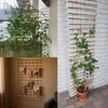 be4nature Mřížka 150 x 50 cm – Proutěná síť pro popínavé Náhled obrázku produktu 6