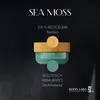 Irish Sea Moss I 500mg I 100% natürliches Irisches Seemoos Produktbild-Vorschau 5
