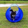 tunnel di gioco per cani lionto, tunnel di agilità stabile Anteprima dell’immagine prodotto 10