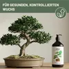 Green Home Love Nature Bonsai-Dünger 1 l, Flüssigdünger NPK Produktbild-Vorschau 3