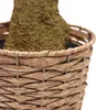 hjh OFFICE Kunstpflanze OLIVE II Künstliche Pflanze im Topf Produktbild-Vorschau 3