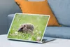 MuchoWow® Laptop Aufkleber Sticker Cover Kleiner Igel im Produktbild-Vorschau 4