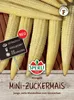 SPERLI Mini-Zuckermais Samen Minigold Zea mays 20 Pflanzen Produktbild-Vorschau 1