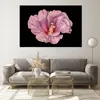 Bilder auf glas - Einteilig - Hibiskus Blume Rosa - Produktbild-Vorschau 7