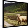 MuchoWow® Gerahmtes Poster Schottische Highlander - Pfad - Produktbild-Vorschau 1