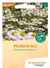 Artikelbild 2 von 'BIO Mutterkraut' aus der Kategorie Kräutersamen Produktbild-Vorschau
