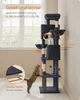 A multi-level cat tree with two cats, placed indoors near a window. Produktbild-Vorschau