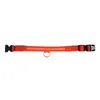 Collare LED per cani, ricaricabile tramite USB, regolabile Anteprima dell’immagine prodotto 2
