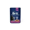 Brit Premium Cat Adult Salmone + Trota in busta 100g Anteprima dell’immagine prodotto 3