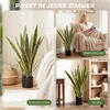 SUGIFT, plante artificielle en pot, Sansevieria Voir les images du produit 9