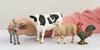 Schleich - Tierfiguren, Farm World Starter-Set; 42385 Produktbild-Vorschau 8