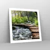 Poster - Poster ohne Rahmen - Park natur grün bäume - 50x50 Produktbild-Vorschau 7
