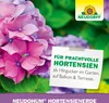 Prachtvolle Blüten als Hingucker im Garten, Balkon und Terrasse Produktbild-Vorschau