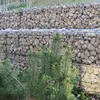 Schicker Mineral-Kalk Gabionensteine beige-60-120mm Produktbild-Vorschau 4
