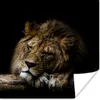 MuchoWow® Poster Löwe - Baum - Braun 75x75 cm - Wand Produktbild-Vorschau 1
