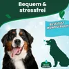 Vets Best, refrescante para el aliento de perros, 500 ml Vista previa de la imagen del producto 6
