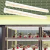 Two LED grow lights are shown suspended above a multi-tiered shelf system filled with potted plants. Anteprima dell’immagine prodotto