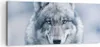 Bild auf Leinwand - Leinwandbild - Einteilig - Wolf Produktbild-Vorschau 1