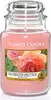 Yankee Candle Sun-Drenched Apricot Rose Duftkerze im Glas Produktbild-Vorschau 3