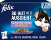 FELIX So gut wie es aussieht Gemischte Vielfalt Senior, Produktbild-Vorschau 10